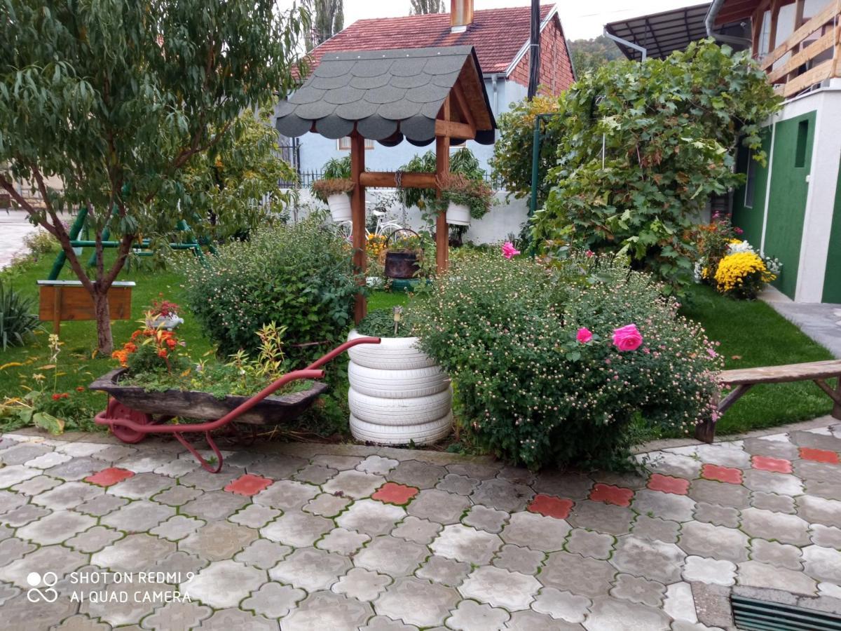 Guest House Vila Banjica Pirot Eksteriør bilde
