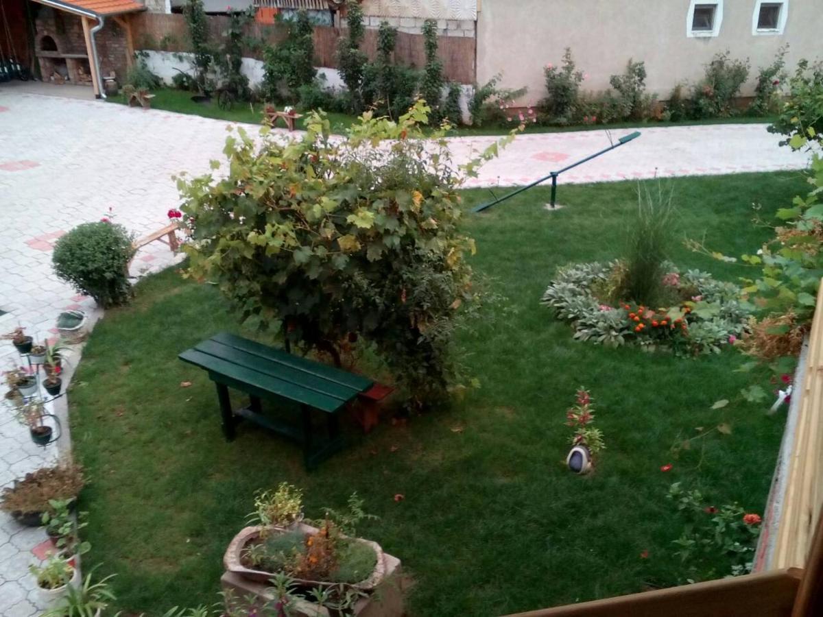 Guest House Vila Banjica Pirot Eksteriør bilde