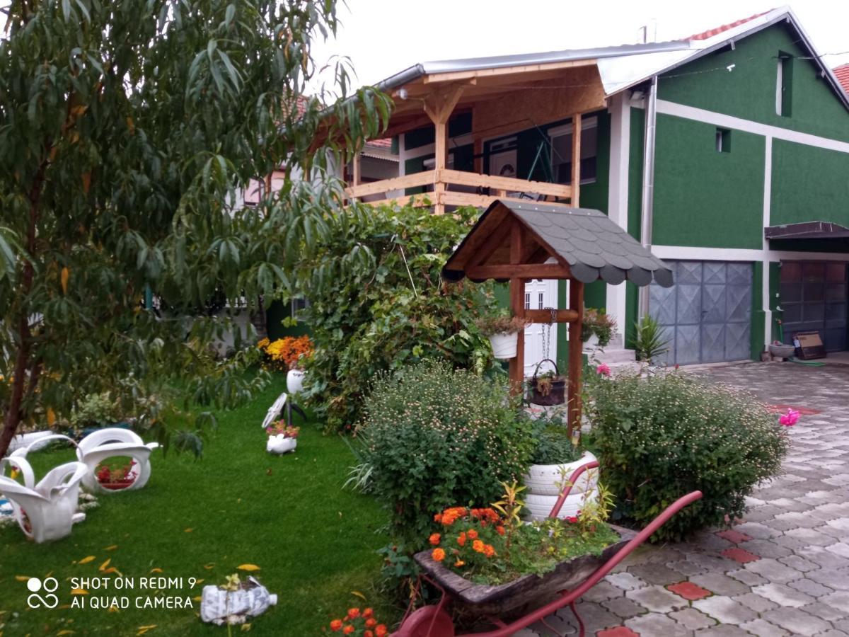 Guest House Vila Banjica Pirot Eksteriør bilde