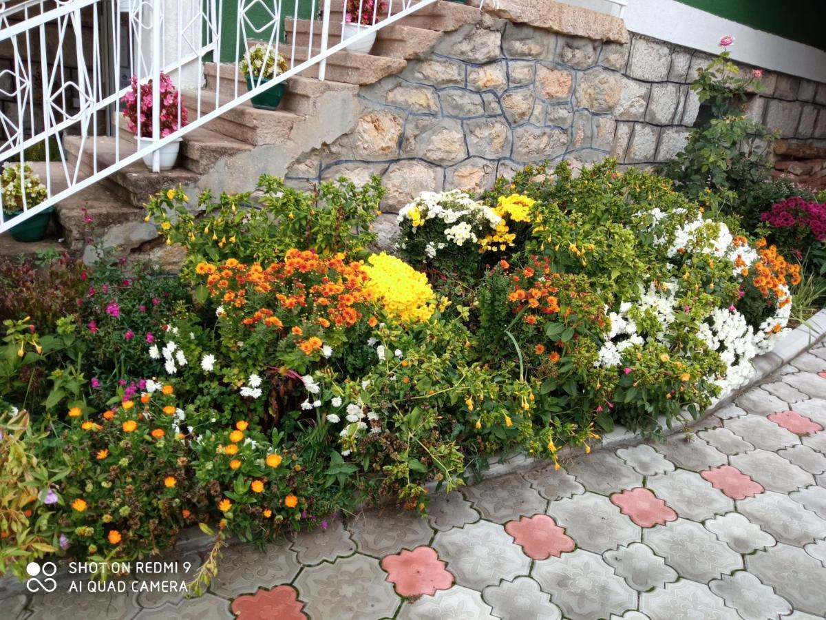 Guest House Vila Banjica Pirot Eksteriør bilde