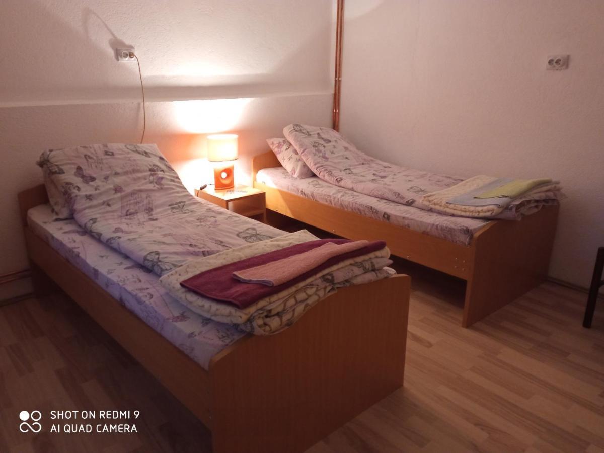 Guest House Vila Banjica Pirot Eksteriør bilde