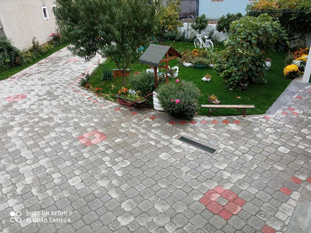 Guest House Vila Banjica Pirot Eksteriør bilde