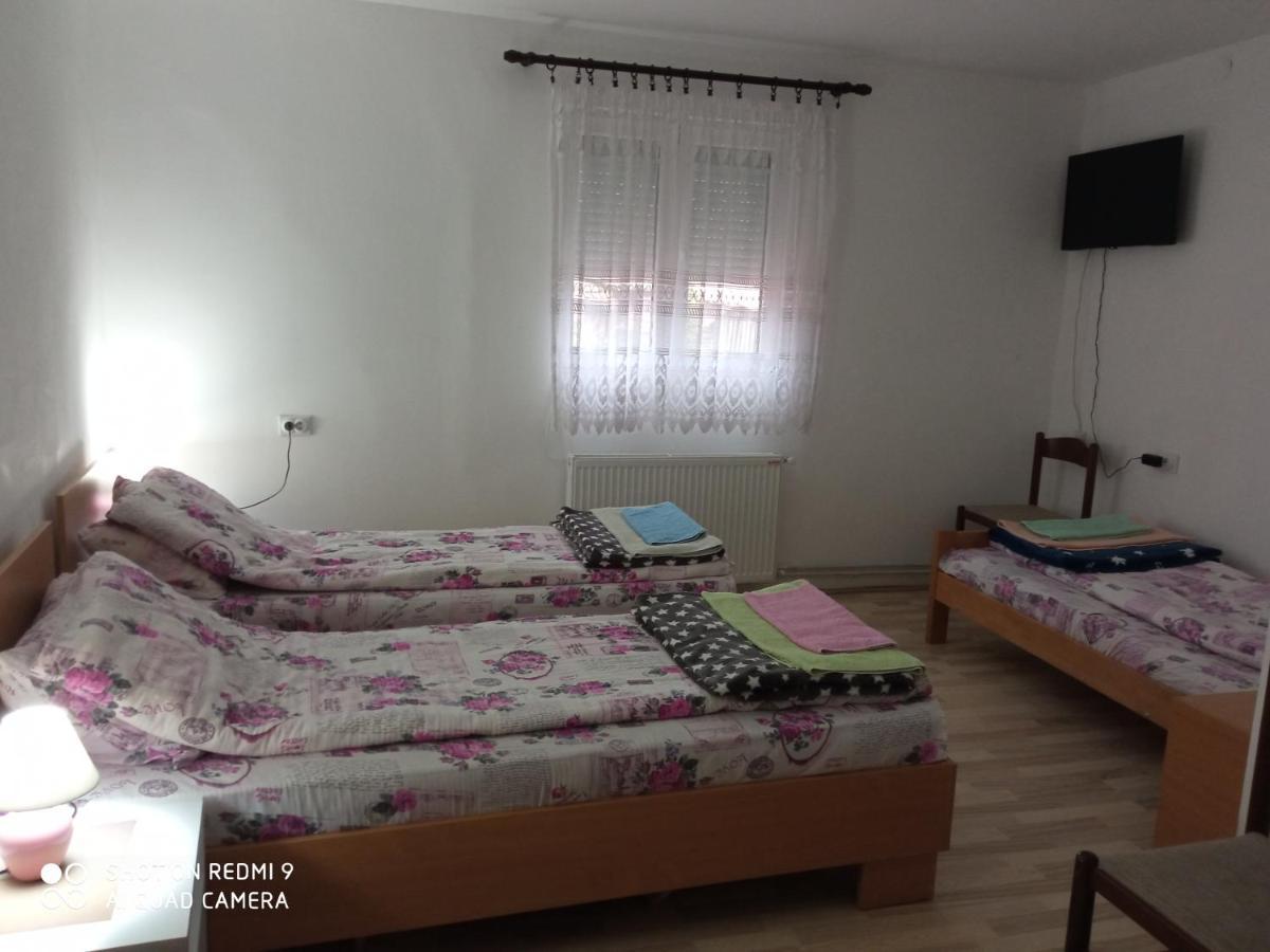 Guest House Vila Banjica Pirot Eksteriør bilde