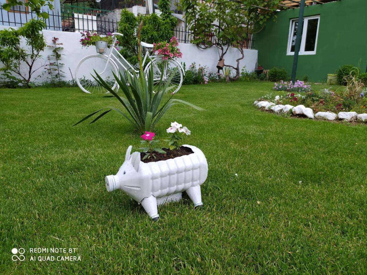 Guest House Vila Banjica Pirot Eksteriør bilde