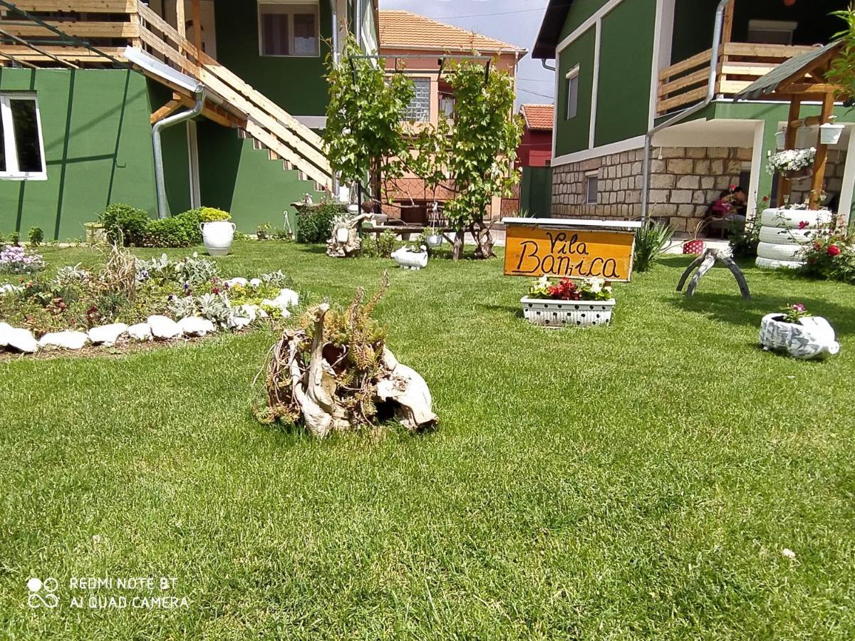 Guest House Vila Banjica Pirot Eksteriør bilde