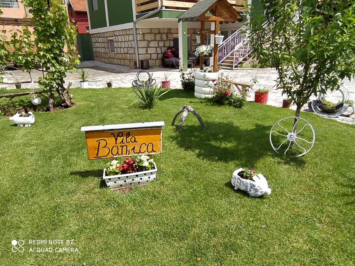 Guest House Vila Banjica Pirot Eksteriør bilde