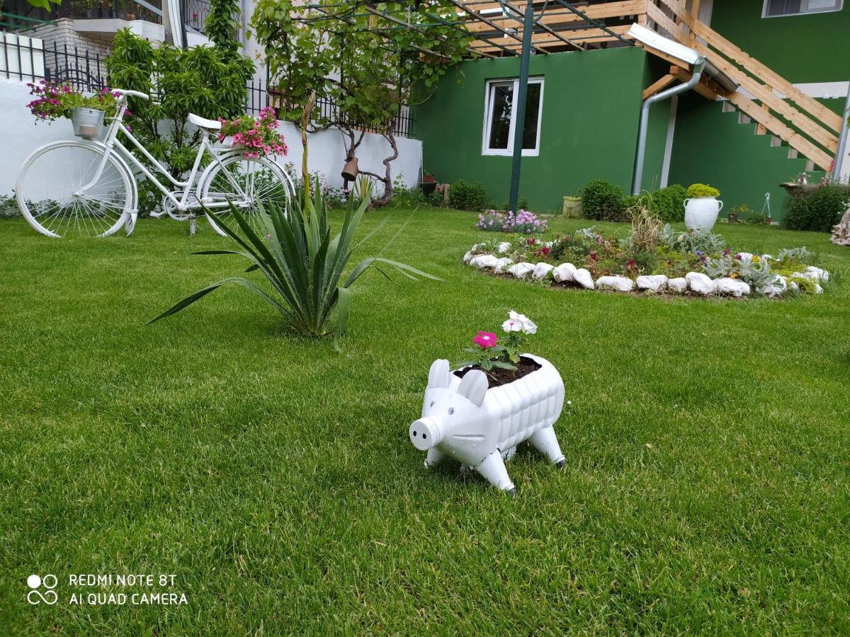 Guest House Vila Banjica Pirot Eksteriør bilde