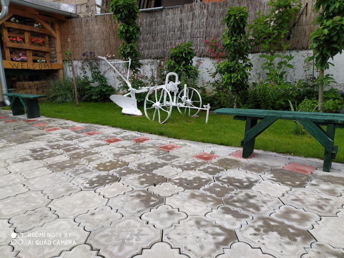 Guest House Vila Banjica Pirot Eksteriør bilde